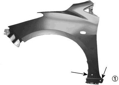 VAN WEZEL 2741657 -  Крыло